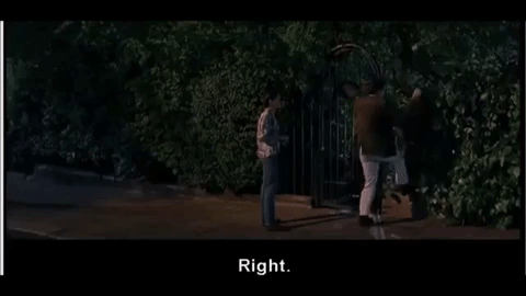 notting hill oopsy daisy GIF