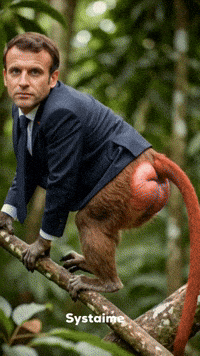 Macron Singe GIF by systaime