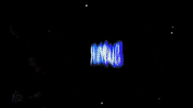 bronx cold at night GIF by Slayter