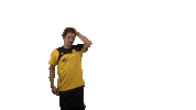 Daltokorfbal korfbal korfballeague dalto daltodriebergen Sticker