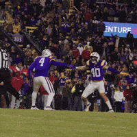 College Football GIF by LSU Tigers
