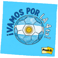 Argentina Albiceleste GIF by 3M