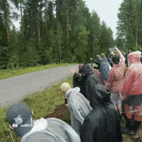 Show Wow GIF by FIA World Rally Championship