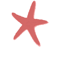 Star Sea Sticker by Papier Patate