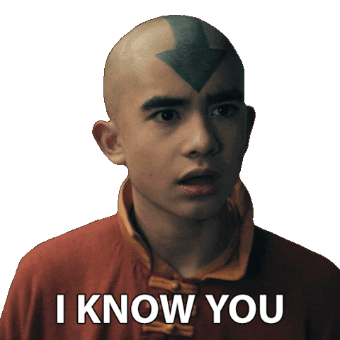 See Avatar The Last Airbender Sticker by NETFLIX