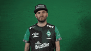 Esports Vbl GIF by SV Werder Bremen