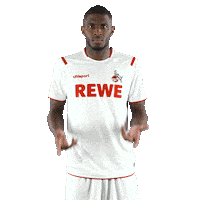 Fc Cologne What Sticker by 1. FC Köln