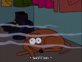 sniffing season 5 GIF