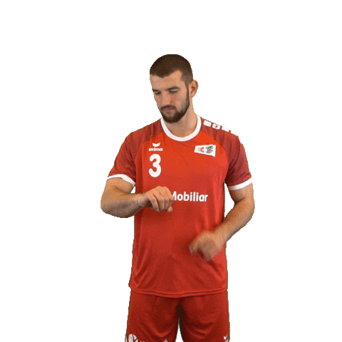 swisshandball_official time handball schweiz swiss Sticker