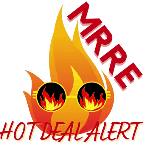 melissaricksrealestate giphygifmaker hot fire hot deal GIF