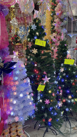 Thisbushwicklife christmas holiday xmas nyc GIF