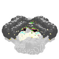 art GIF by Ori Toor