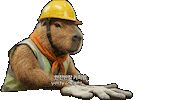 Gloves Capybara Sticker