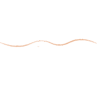 amonutti lines linhas nutti nuttilover Sticker