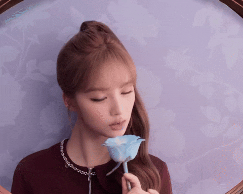 Blue Valentine Flower GIF
