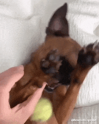 Oh No Help GIF