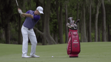 GIF by Wilson Golf