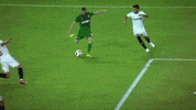 sevillafc vaclÃ­k GIF by Sevilla Fútbol Club