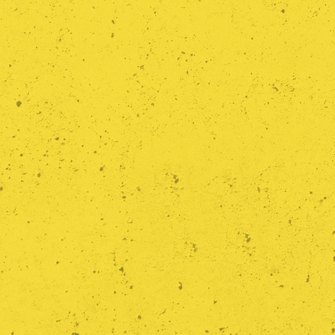 SVLeibenstadt1946 giphyupload svl 1946 gelbschwarz GIF