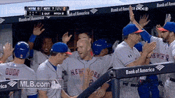 new york mets GIF by MLB
