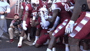 Tu GIF by Temple Owls