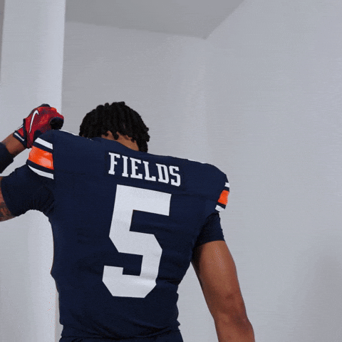College Football GIF by Auburn Tigers