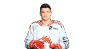 Koch Trinec Sticker by HC Oceláři Třinec