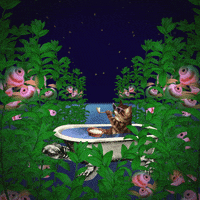 gardenoftime art cat animation surreal GIF