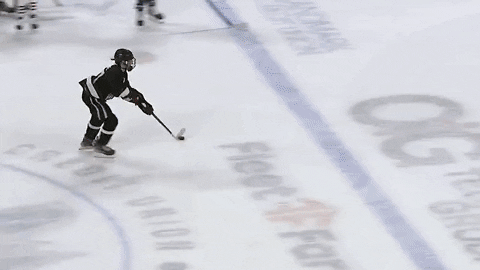 GIF by Milwaukee Admirals