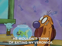 nicksplat GIF