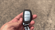 Driving Lets Go GIF by Namaste Car