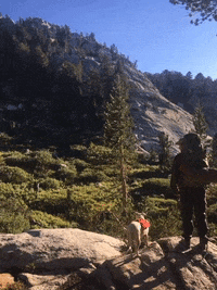 Backpacking Sierras GIF by Justin