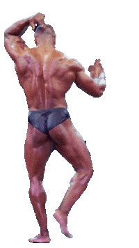 blazetraining fitness coach muscle competition Sticker