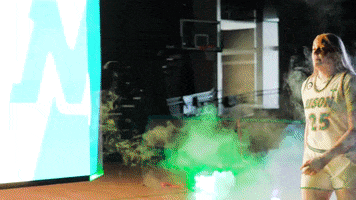 High Five Epperson GIF by NDSU Athletics