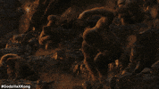 Godzilla Kong GIF by Warner Bros. Pictures