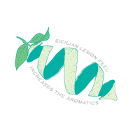 Gin And Tonic Drinks Sticker by Square Root Soda