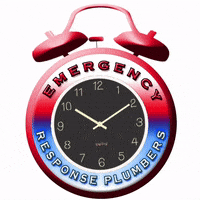emergencyresponseplumbers  GIF