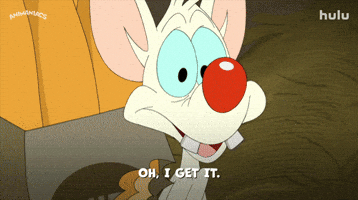 Oh I Get It Pinky And The Brain GIF by HULU