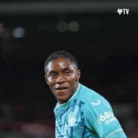 France Yes GIF by Wolves