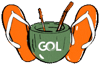 ferias novagol Sticker by GOL Linhas Aéreas