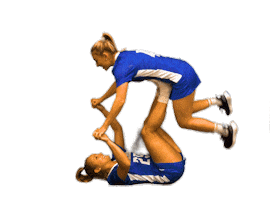 College Sports Fun Sticker by Delaware Blue Hens