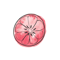 LeighElizabethStudio orange fruit lemon watermelon Sticker