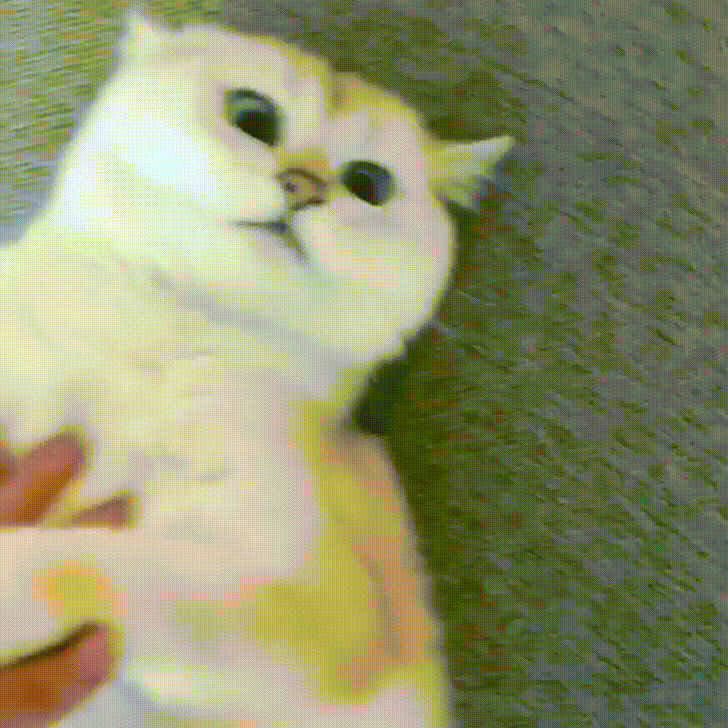 demon aaah GIF
