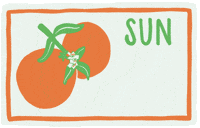 freepressink florida sunshine sunny citrus GIF