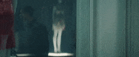 Music Video Museum GIF by Taylor Swift