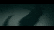 Black Swan Ballet GIF by unfdcentral
