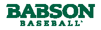 Baseball Go Sticker by Babson College