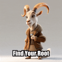 Wisdom Liminal GIF by Radiantelope