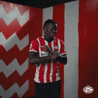 Rode Duivels Home GIF by PSV
