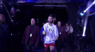 Mixed Martial Arts Sport GIF by UFC